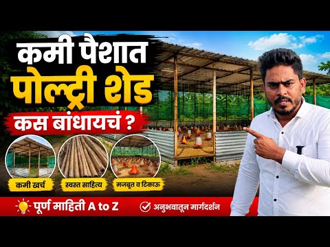 कमी पैशात पोल्ट्री शेड कसं बांधायचं
